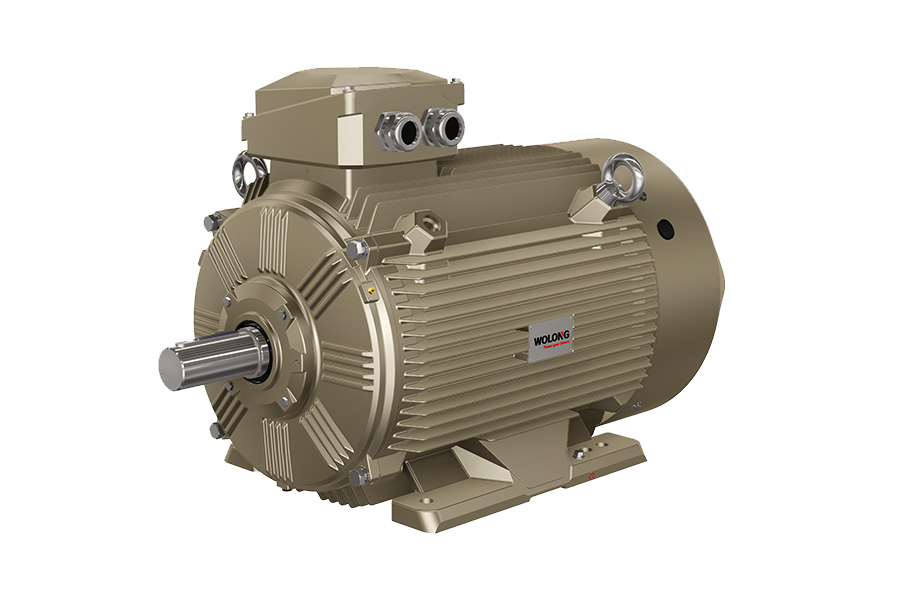 WERMA5系列永磁輔助磁阻同步電動機